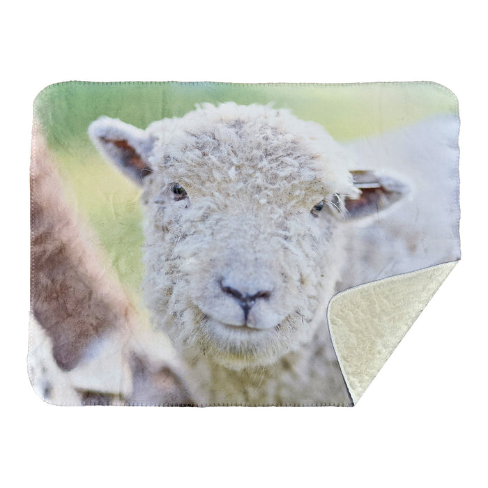 10070 - 30" x 40" Faux Mink Suede Blanket