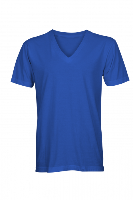 6040 Next Level Men's Triblend VNECK