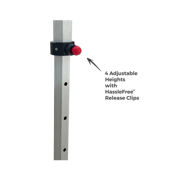 10x10 Platinum LifeTime Tent with Full Color Canopy and Back Wall