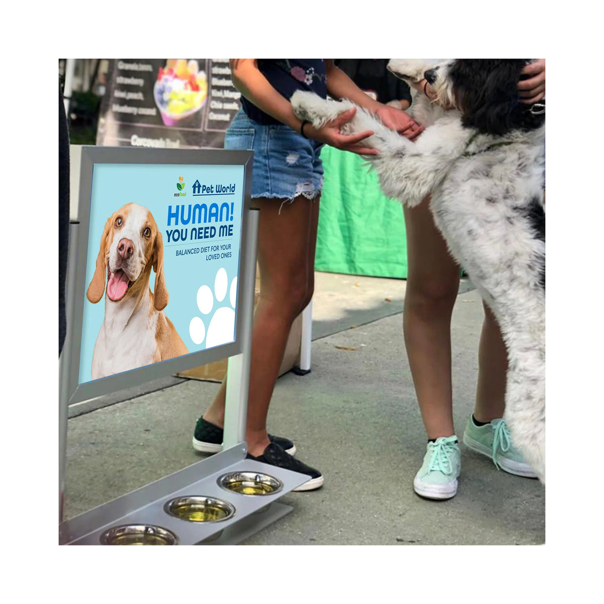 Pet Hydration Display — Fully Promoted Davie