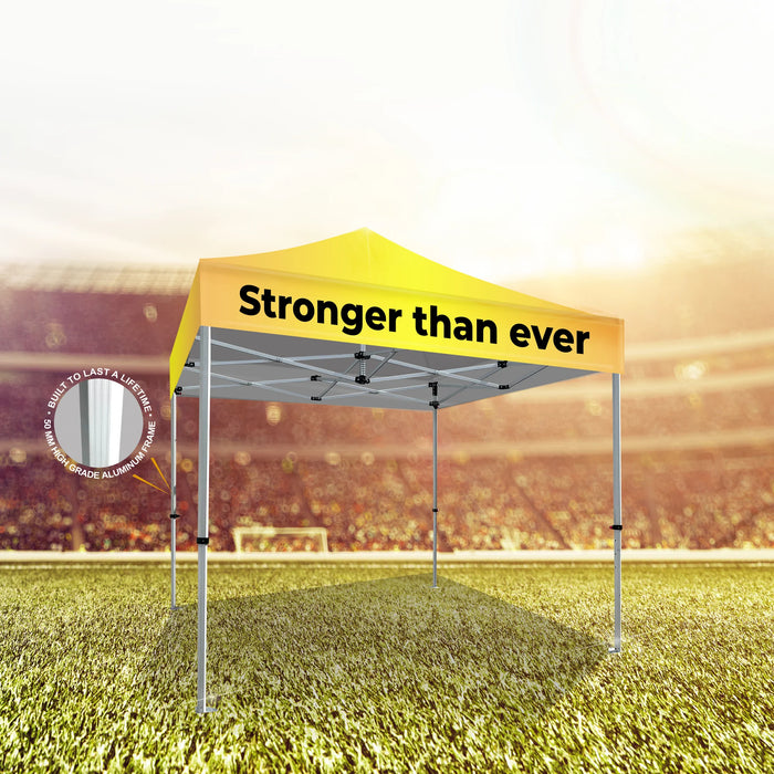 10x10 Platinum LifeTime Tent with Full Color Canopy